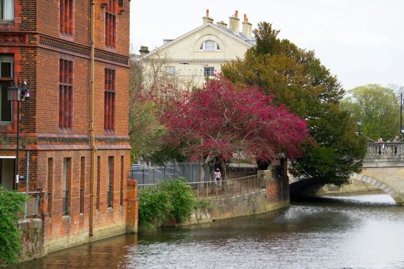 http://bedford%20std%20clinics